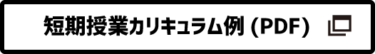 短期授業カリキュラム例(PDF)